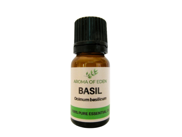 Basil Essential Oil