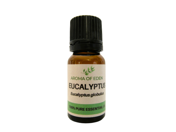 Eucalyptus Essential Oil