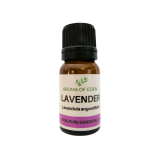 Lavender Essential Oil