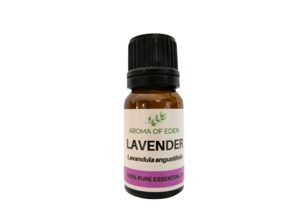 Lavender Essential Oil