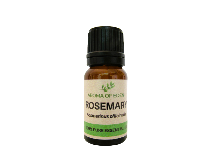 Rosemary Essential Oil